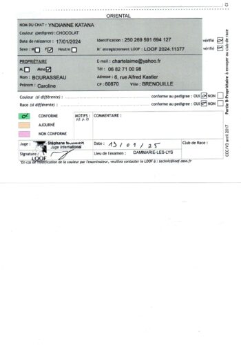 Certificat de conformité Yndianne Katana