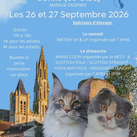 expo senlis 26 et 27 septembre 2026