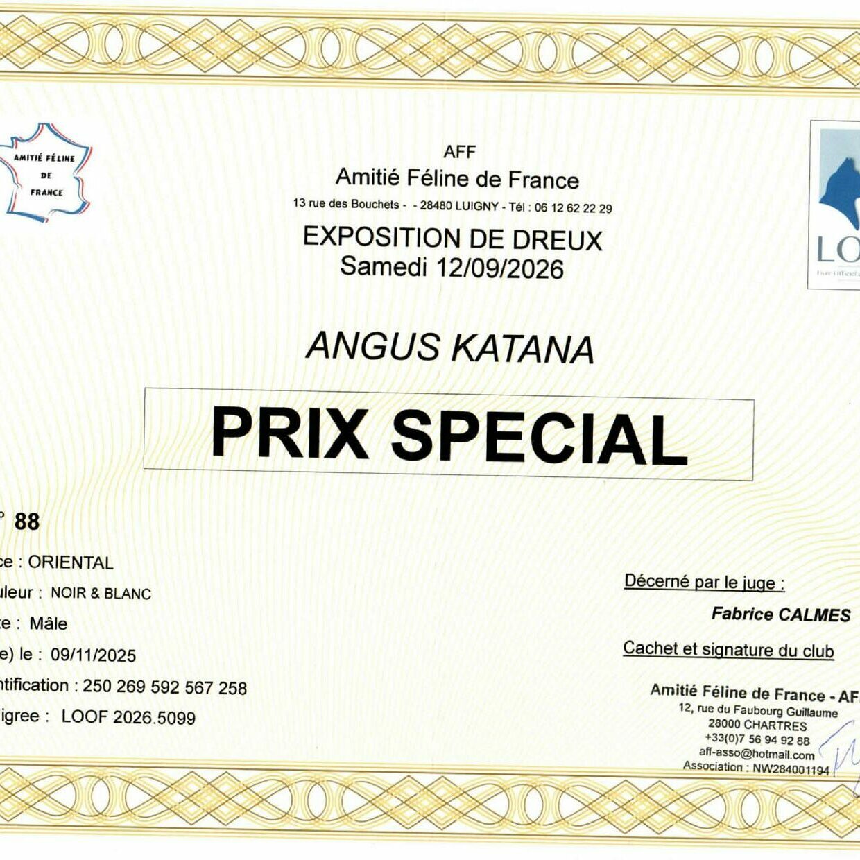 angus_prix_special